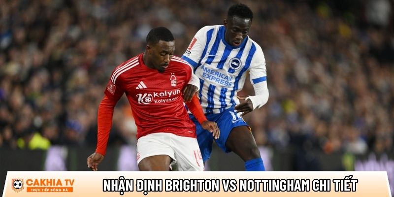 nhan dinh brighton vs nottingham chi tiet