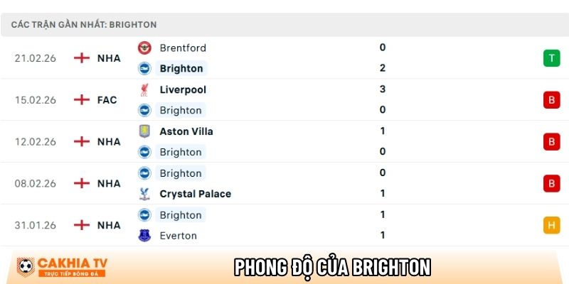 phong do cua brighton