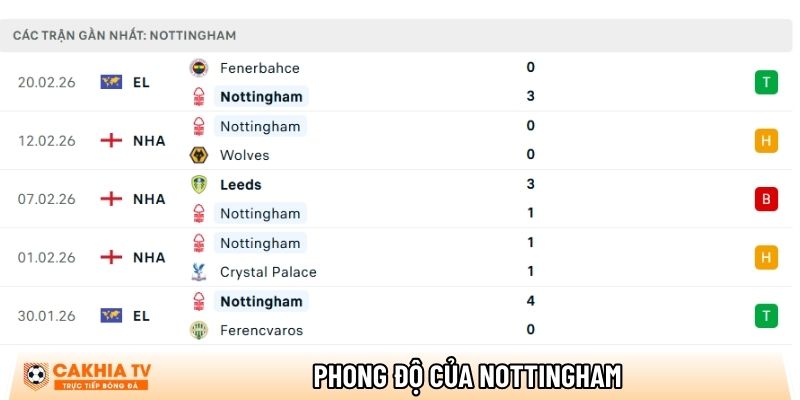 phong do cua nottingham