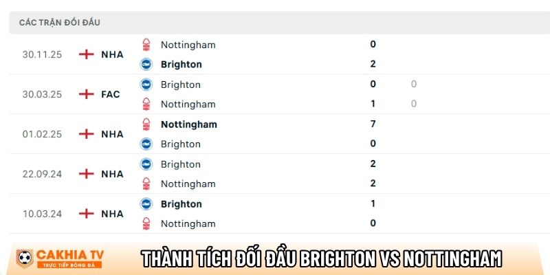 thanh tich doi dau brighton vs nottingham