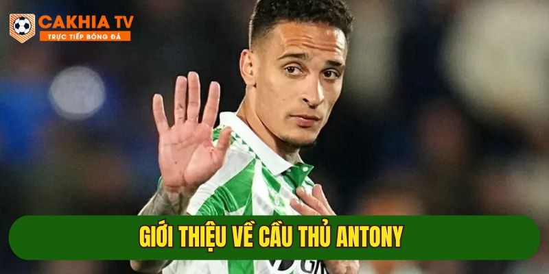 tieu su ve antony